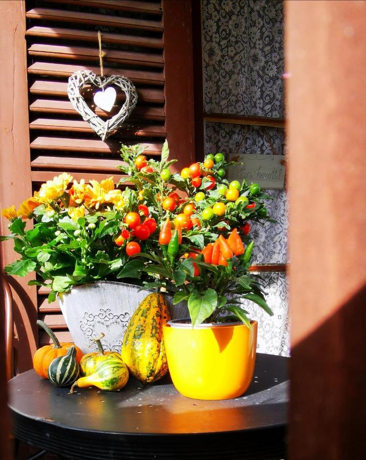 Orseg Kincse Guest House Hegyhátszentjakab Exterior foto